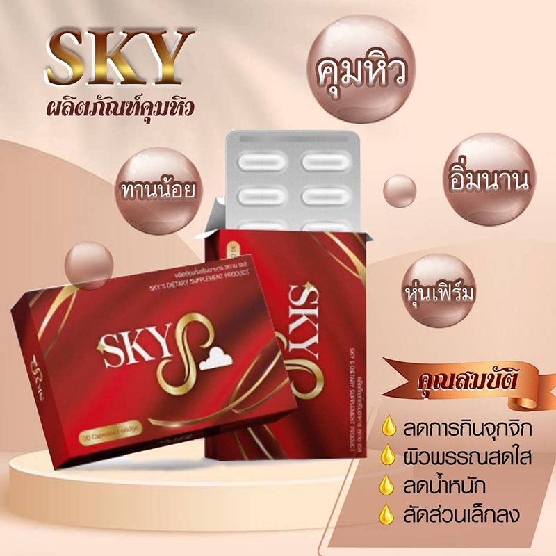 SKY S